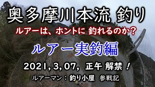 奥多摩川本流解禁、ルアー実釣編