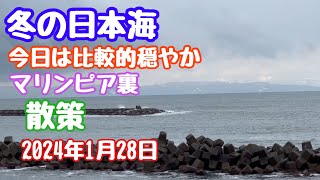 2024年1月28日 冬の日本海 マリンピア裏 散歩 新潟市中央区