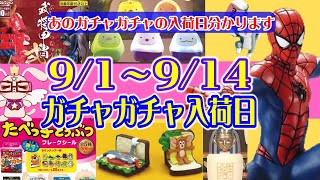 9/1~9/14までのガチャガチャスケジュール【９月上旬】