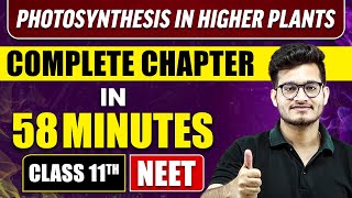 PHOTOSYNTHESIS IN HIGHER PLANTS in 58 Minutes  | Full Chapter Revision | Class 11 NEET