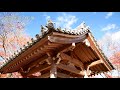 京都・常寂光寺の紅葉 2017 autumn leaves in kyoto jojakko ji 4k