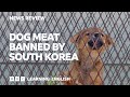 Dog meat banned by South Korea: BBC News Review