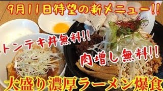 【京都ラーメン】肉増し＆トンテキ丼無料！9月11日にリリースされた新作ラーメンの大盛りを爆食！【キラメキノ青空】Kyoto gourmet