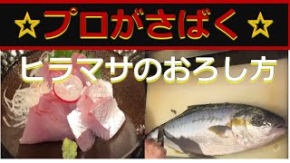 プロがさばく⭐️ヒラマサのおろし方