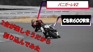 若手パニガーレ乗りに嫉妬【GSXR1000R】【袖ヶ浦フォレストレースウェイ】【サーキット】【CBR600RR】【モトブログ】