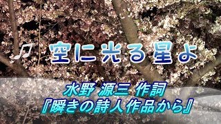 4K讃美♫夜空に光る星よ。「瞬きの詩人」水野源三作詞。京都二条城夜桜。