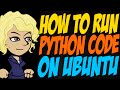 How to Run Python Code on Ubuntu