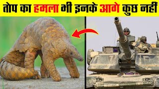 धरती पर मौजूद 8 सबसे अभेद्य जानवर । The Most Armored Animals in the World