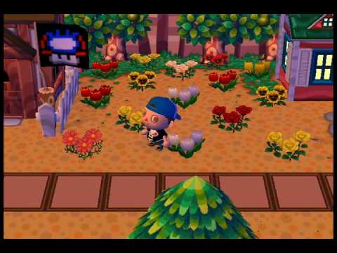 Animal Crossing City Folk - How To Create All Hybrids Animal Crossing City Folk - How To Create All Hybrids