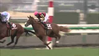 ギュスターヴクライ 阪神大賞典 2012