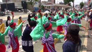 上町よさこい鳴子連 2017本家高知よさこい 10日 上町 mususukunjp