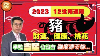 2023癸卯年12生肖運程｜豬年生肖運勢｜感情、桃花、事業、金錢 ｜易經塔罗開運吉卦｜何癸銘｜OSCAR｜CC繁簡字幕｜