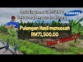 Dari Engineer Samsung, Kini Petani Sepenuh Masa | SOP Pokok Pisang