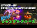 【4K画質】夜のジャングルクルーズ｜ディズニーランド再開（コロナ対策中）／Tokyo Disneyland＜Jungle Cruize＞ディズニーリゾート