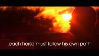 Moments Like This - The Horse Seeks Me - Book trailer