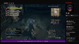 意味が解らないままレベルが…［DDON］#198  (気まぐれ自己満足ボヤキ動画)