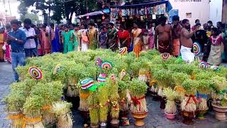 பண்ணைகுடி மந்தையம்மன் கோவில் திருவிழா