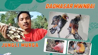 Daomasar Mwnbwbai Paan Sana Hitt Jungli Murga Hagrani Dao BODOvlogs 40