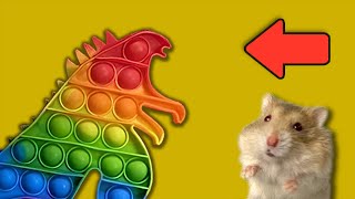 Hamster Maze - Pop It Obstacle Course, Hamster Obstacle From Main Pop It - Hamster Maze DIY Part 2