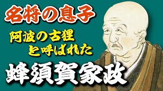 阿波の古狸と呼ばれた『蜂須賀家政』したたかに乱世を生き抜く