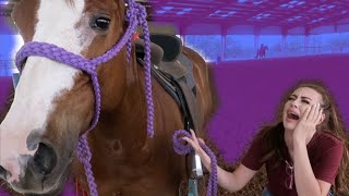 I'M SELLING HER HORSE! (Saddle Review)