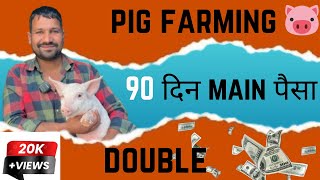 ये pig farming नहीं 🐷ये पैसा farming है 😱|| शराब ठेकेदारी का काम छोड़कर best agribusiness idea