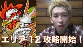 【ポコダン実況#26】新エリア12・炎精霊の廃工場を攻略開始！コカトリス\u0026炎巨兵ファイアゴーレムと対決！ヒカルのポコロンダンジョンズ実況プレイ！