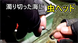 【雨翌日の虫ヘッド】濁り切った海に虫ヘッドは通用するか？#116