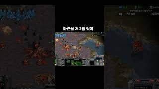 스타 저그입장에서 마린이 개사기인이유ㅋㅋ#shorts  #shortsindia #starcraft #gaming