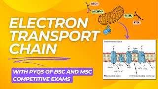 Electron Transport Chain | Biochemistry | CSIR NET, GATE, GAT-B, IIT-JAM