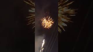 WarFace 73s Firework(Banger)