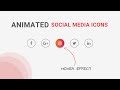 Social Media Icons With Hover Effect Using Only CSS