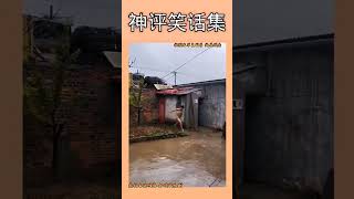 下雨了都不知道打伞 #搞笑视频