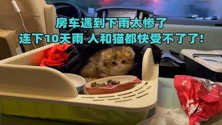 房车遇到下雨太惨了。连下10天雨，人和猫都快受不了了！