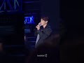 241231 super junior lss 2025 淡水跨河煙火