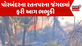 Porbandar Fire News | રતનપરના જંગલમાં ફરી આગ ભભુકી | Fire Breakout | Fire Incident | News18