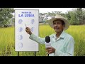 Cómo usar las Fases Lunares 🌖 Para Sembrar, Cosechar, Injertar y Domar Caballos