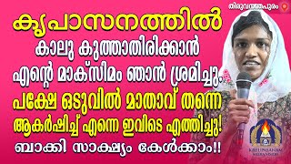 കൃപാസനത്തിൽ കാലു കുത്താതിരിക്കാൻ എൻ്റെ മാക്സിമം ഞാൻ ശ്രമിച്ചു.പക്ഷേ ഒടുവിൽ മാതാവ് തന്നെ