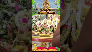 Kandha Sasti Utsavam Day 1 Yaga Salai Poojai #trendingshorts #murugan #tiruchendur #soorasamharam