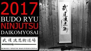 2017 Budo Ryu Ninjutsu Daikomyosai | Ninja, Martial Arts, Ninpo