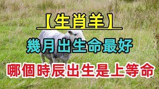 【生肖羊】屬羊人幾月出生命最好？哪個時辰出生是上等命？一生多財又有福！