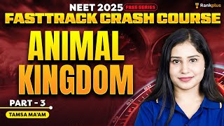 Animal Kingdom | L3 | Biology | NEET 2025 Fastrack Course | Tamsa Ma'am | Rankplus