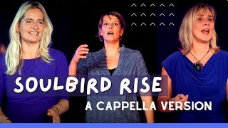 Soulbird Rise (India Arie) - A Cappella Cover by Corinne, Inge \u0026 Britta