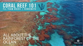 Coral Reef 101 - Everything You Need To Know!