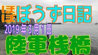 ぼうず日記14（陸軍桟橋　※2019年3月1日）