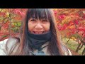 【奥三河】紅葉ツーリング【ゼファー750】バイク女子のモトブログ【カワサキ】