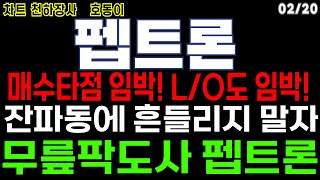 펩트론 -  매수 타점 임박! L/O도 임박! 잔파동에 흔들리지 말자 무릎팍도사 펩트론 제약바이오 알테오젠 바이오주 비만치료제 관련주 주가 주가전망 목표가 대응방법 급등주 호동이