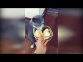 funny cats reaction to smelling durian 2 cute and funny cat videos compilation