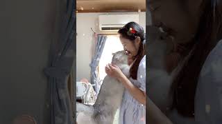 #猫咪 有些小猫咪想变成人类来与我们相爱。