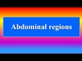 Abdominal regions